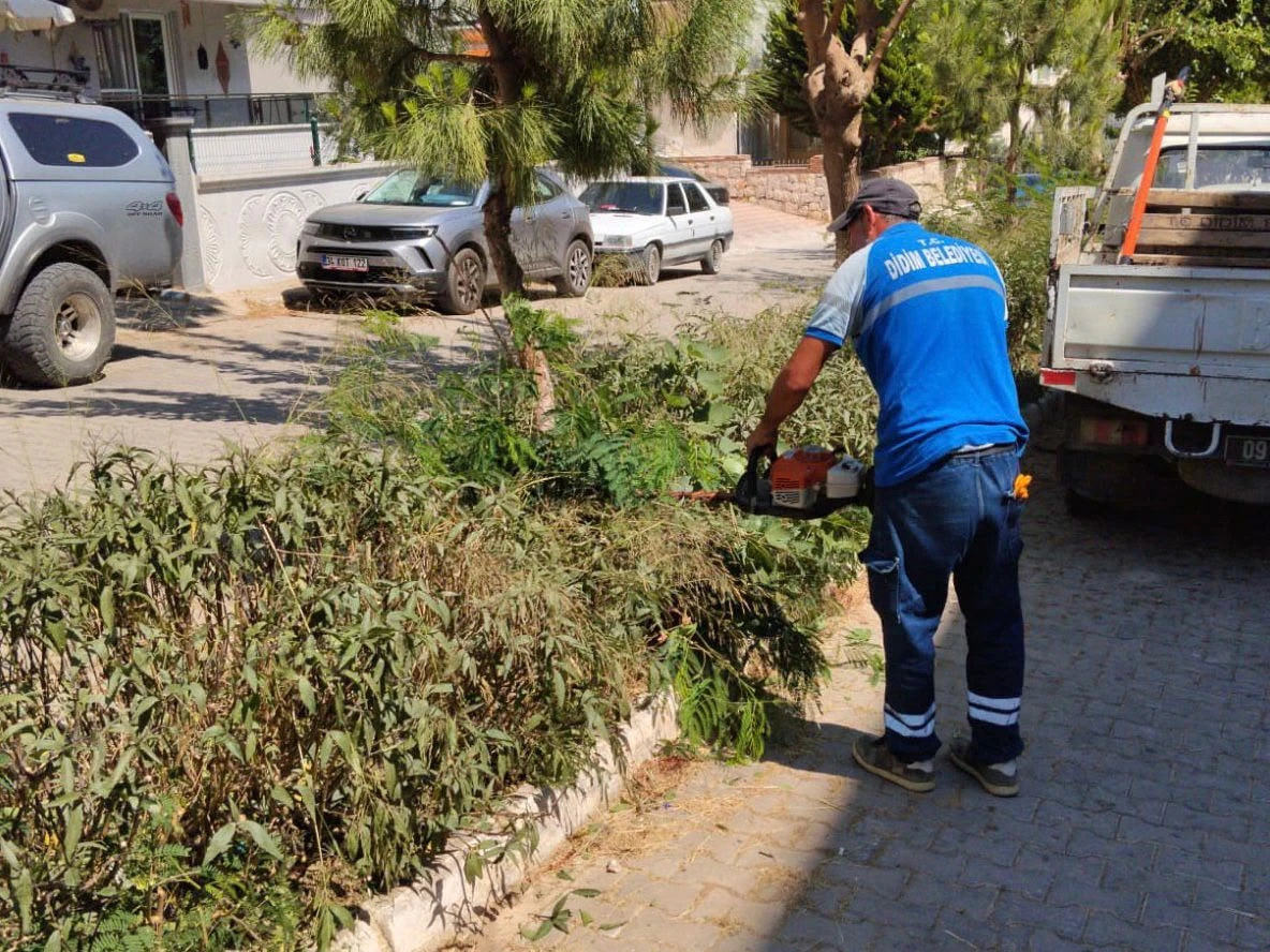 DİDİM BELEDİYESİ YEŞİL ALANLARDA BAKIM ÇALIŞMALARINI SÜRDÜRÜYOR