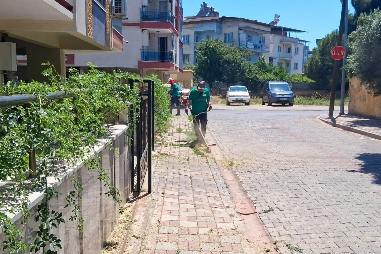 EFELER DAHA TEMİZ VE DAHA KONFORLU HALE GELİYOR