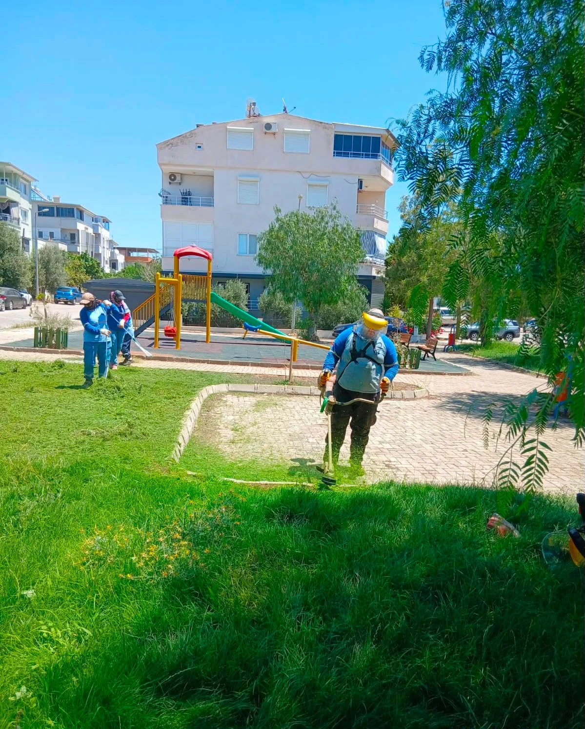 Didim Belediyesi, kent genelindeki bakım çalışmalarını aralıksız sürdürüyor