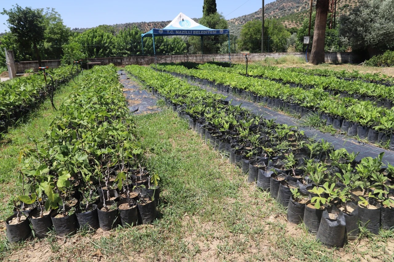 Nazilli Belediyesi üretiyor, köylere can oluyor
