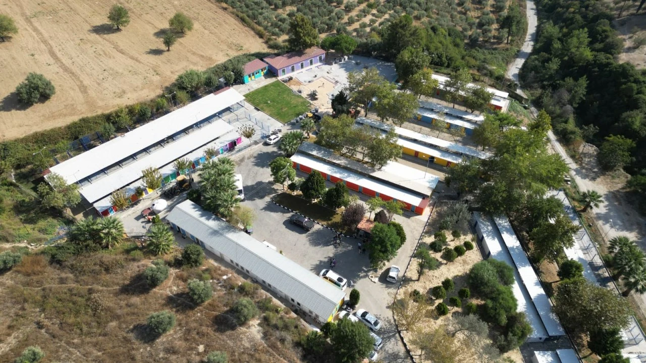 Kuşadası Belediyesi 3518 sokak hayvanını ömürlük yuvasına kavuşturdu