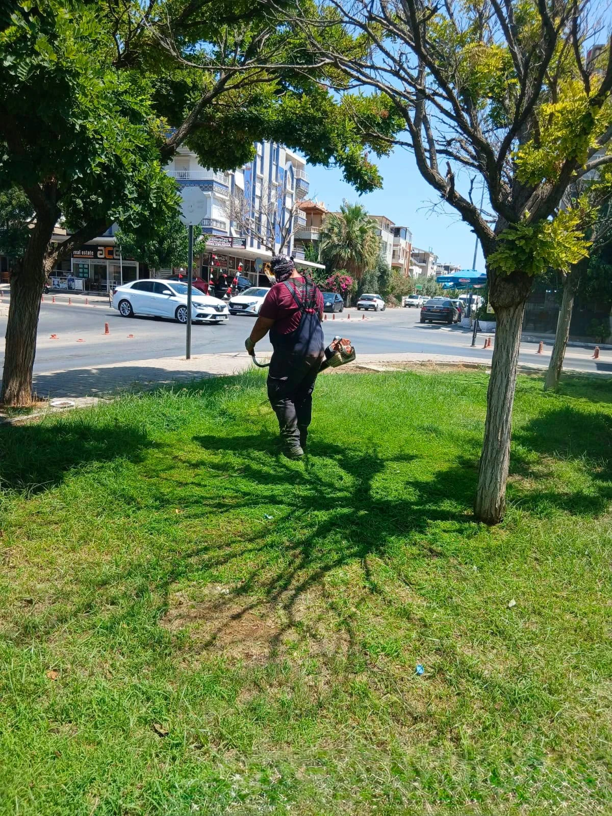 Didim Belediyesi kent genelinde çevre bakım çalışmalarını sürdürüyor