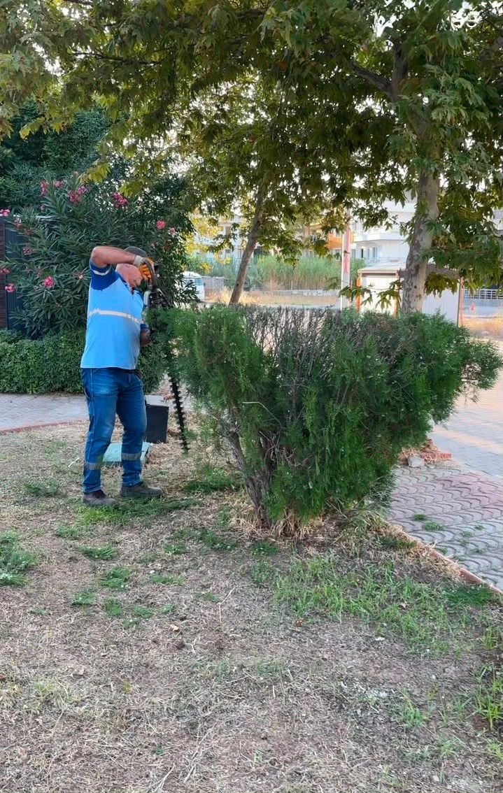 Didim Belediyesi kent genelinde çevre bakım çalışmalarını sürdürüyor