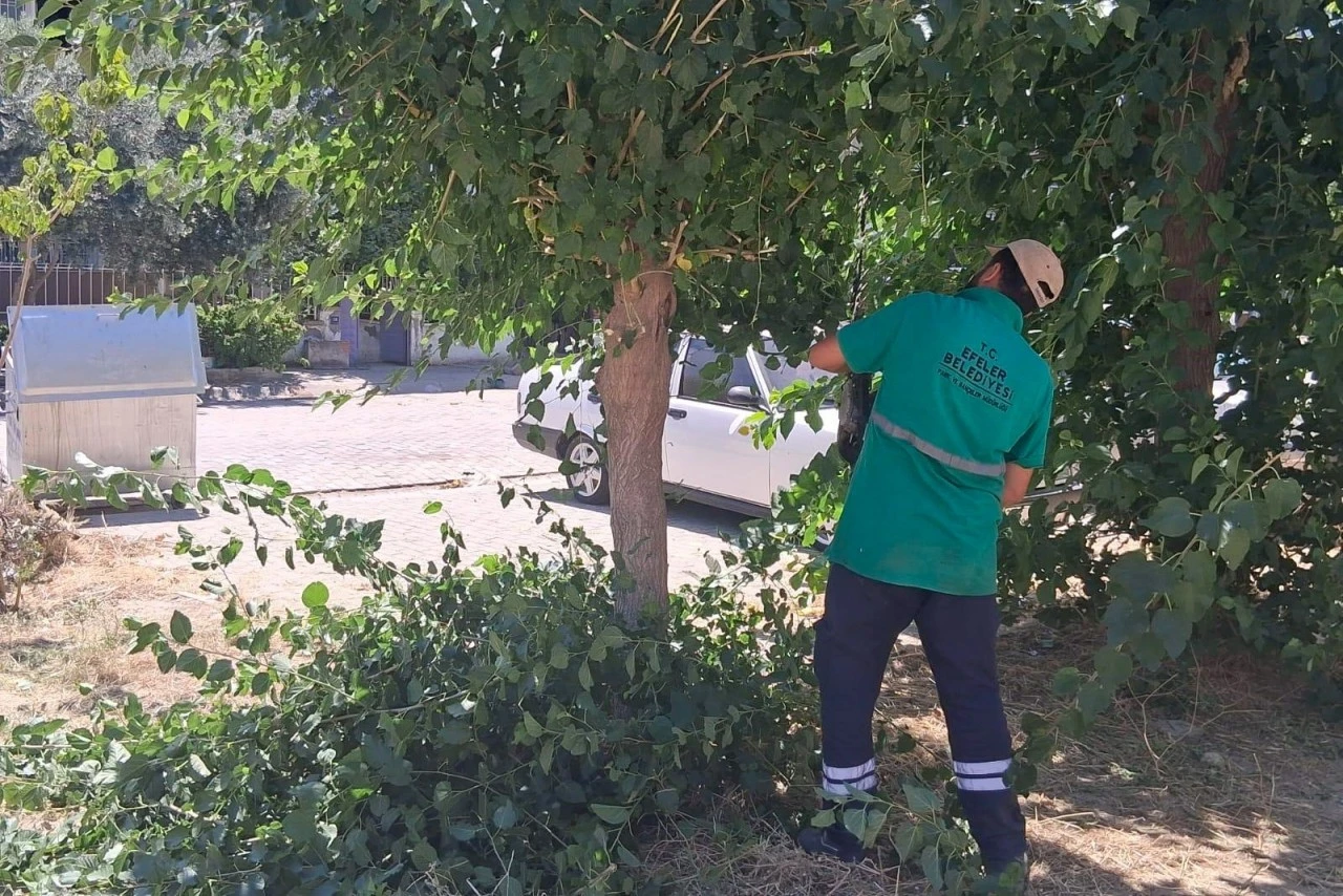 Efeler Belediyesi'nden Mimar Sinan parklarına kapsamlı bakım