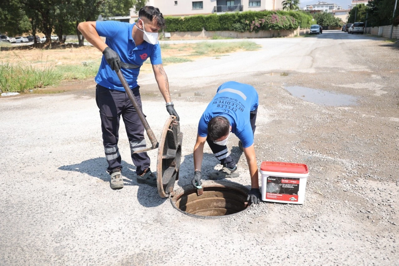 Efeler'de halk sağlığı için ilaçlama çalışmaları aralıksız sürüyor