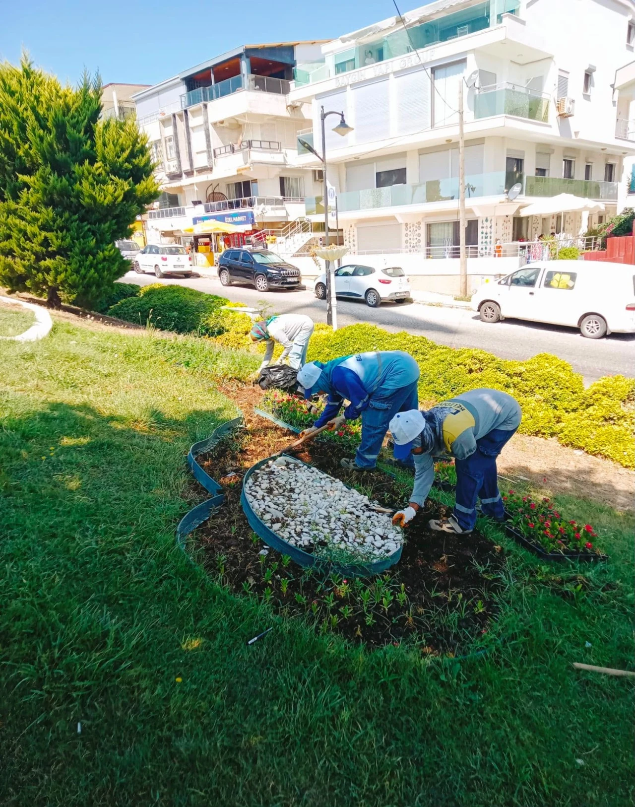 Didim Belediyesi üretiyor, Didim güzelleşiyor