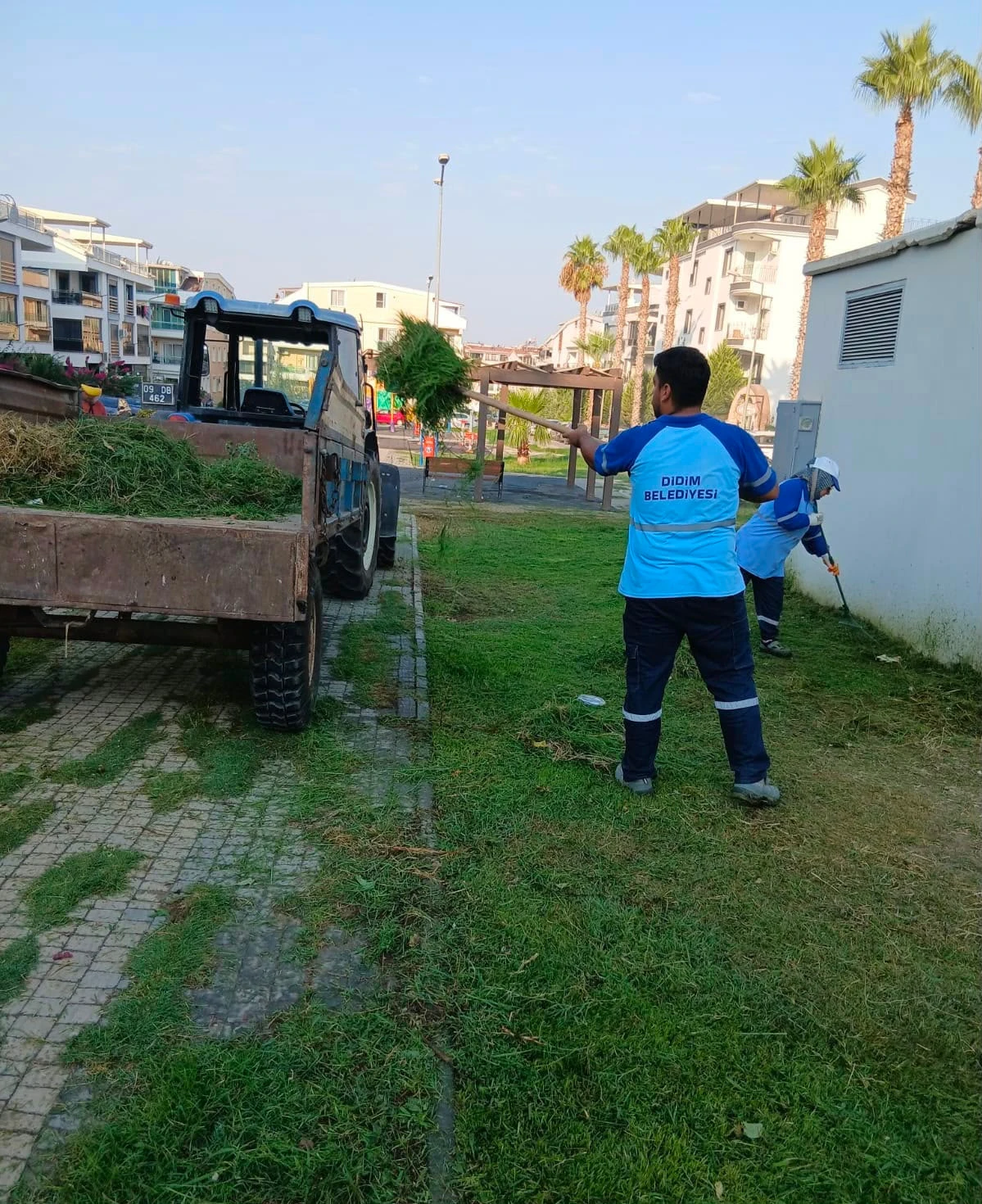 Didim Belediyesi Kent Genelinde Ot Biçme ve Budama Çalışmalarını Sürdürüyor