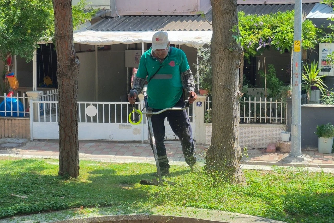 Efeler’de yeşil alanların bakımı aralıksız sürüyor