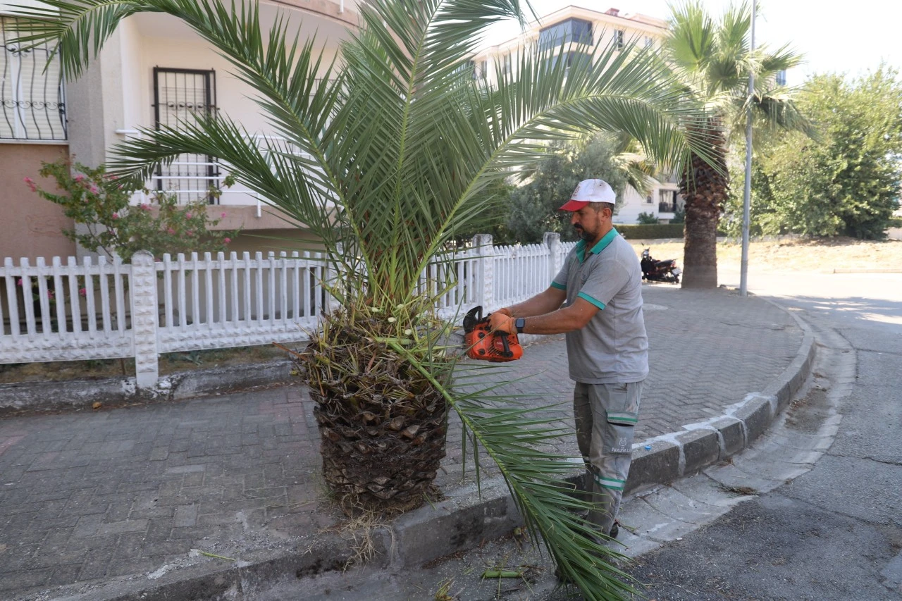Park ve Sokaklarda Kapsamlı Bakım Seferberliği