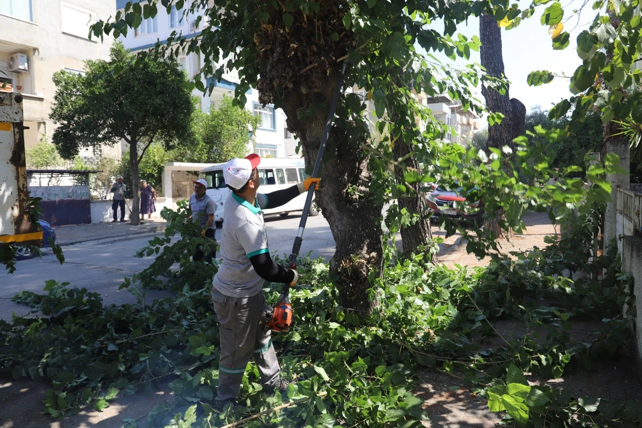 Park ve Sokaklarda Kapsamlı Bakım Seferberliği