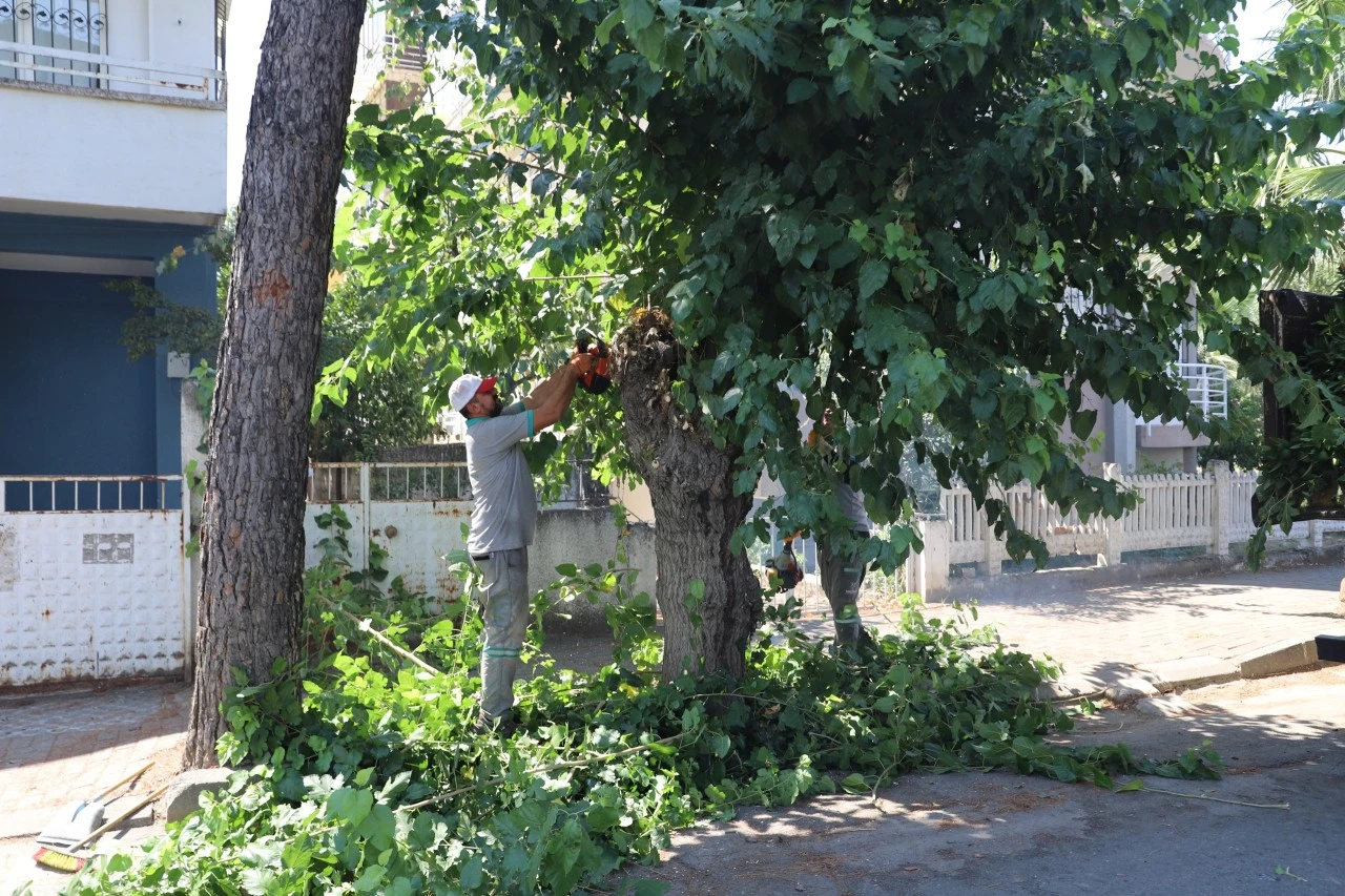 Park ve Sokaklarda Kapsamlı Bakım Seferberliği