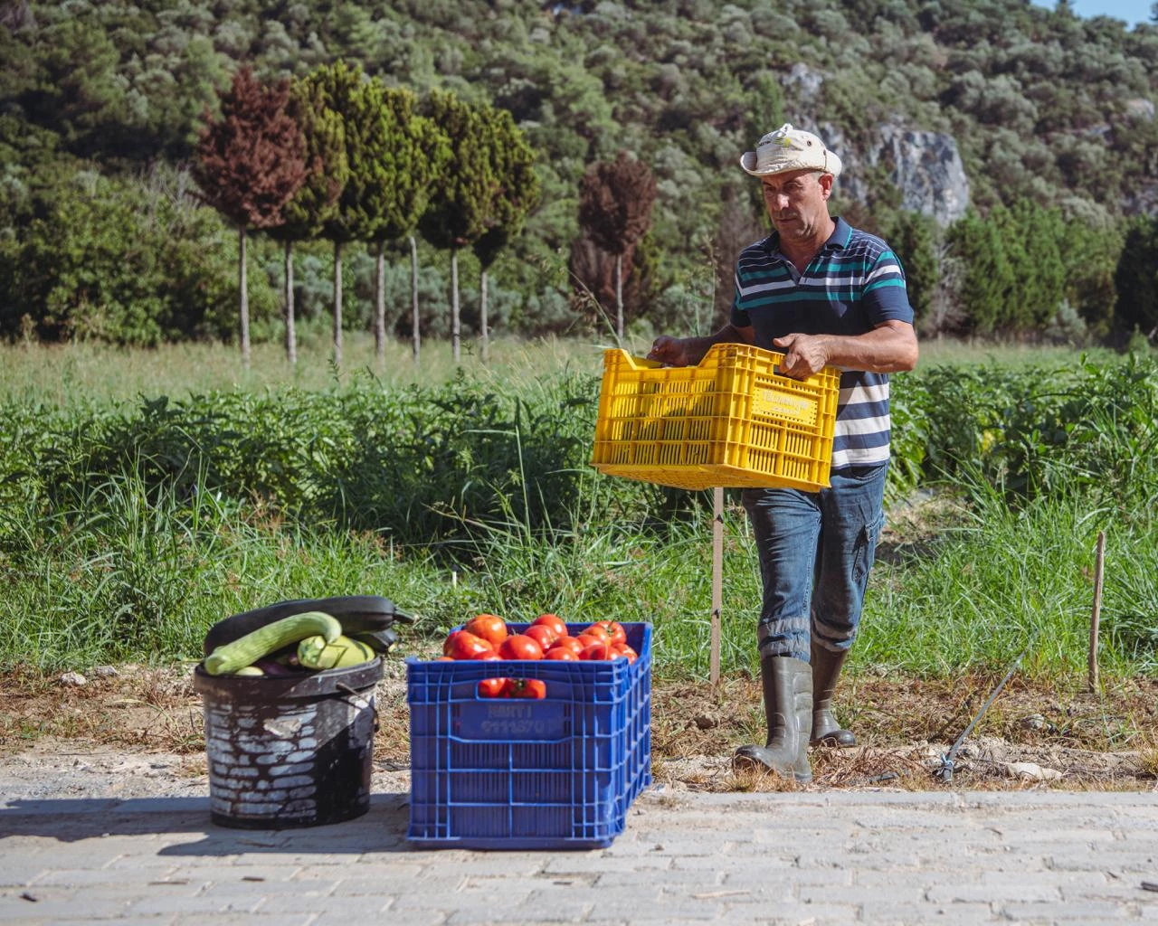 Kuşadası’nda yazın bereketi Adabahçe ile yaşanıyor