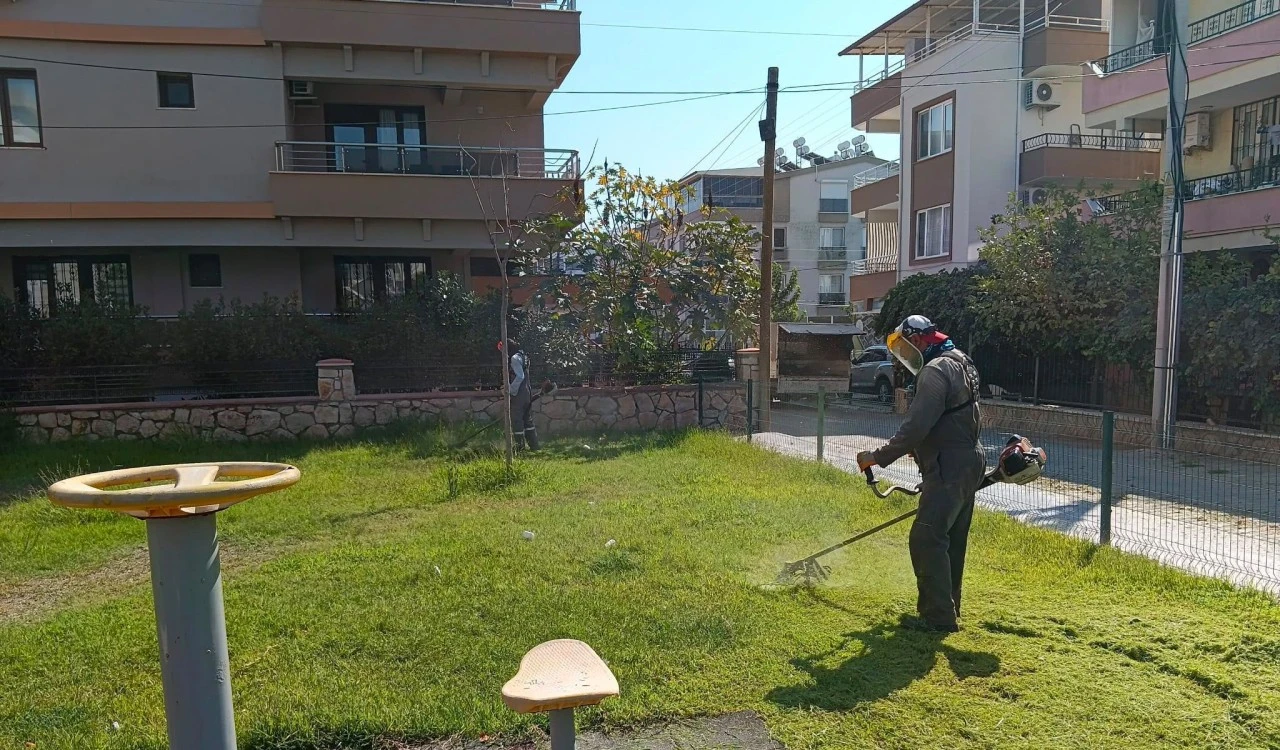 Didim Belediyesi yeşil alanlarda bakım ve düzenleme çalışmalarını sürdürüyor