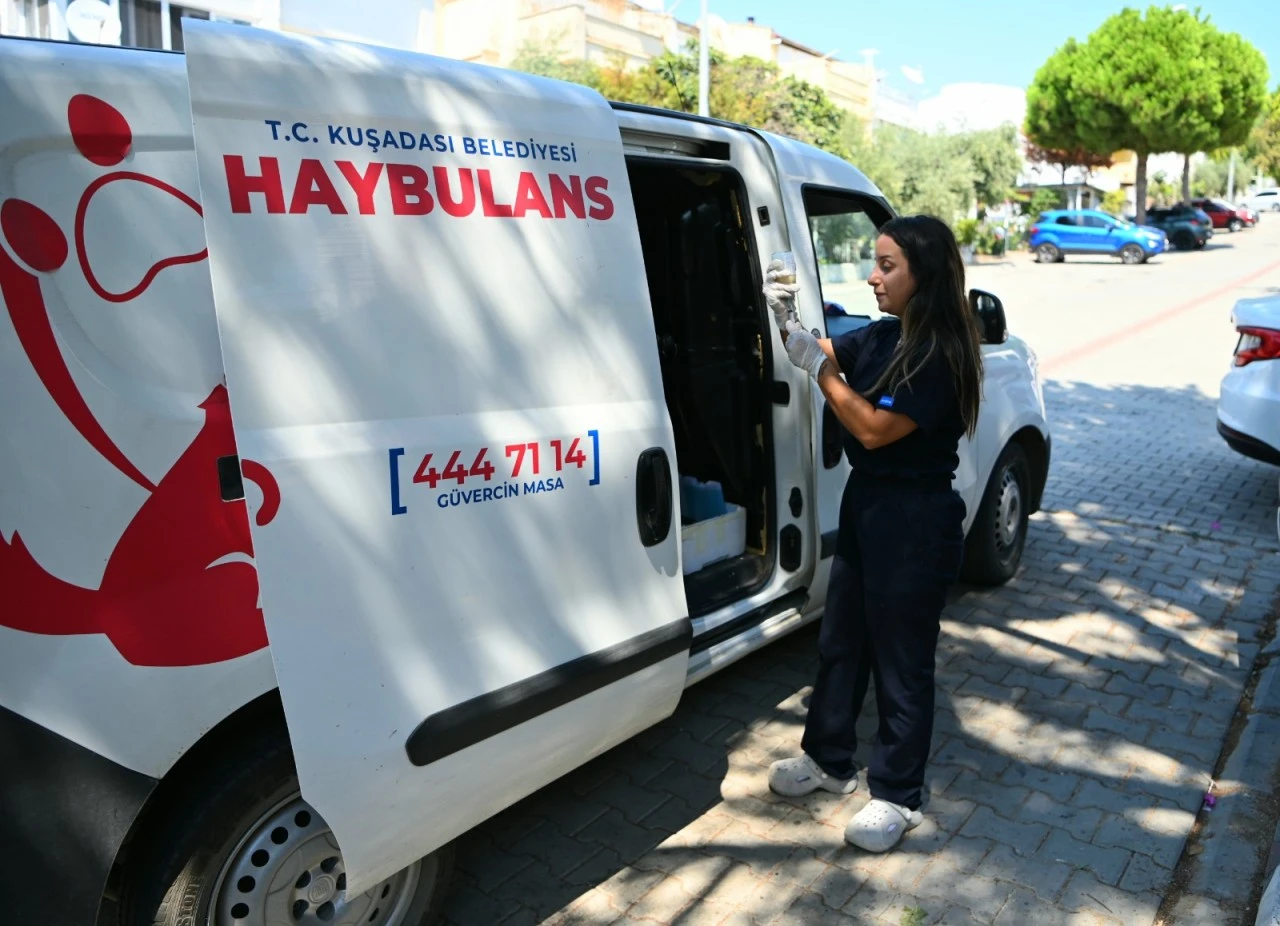 Kuşadası’nda can dostların hayatı Haybulansa emanet