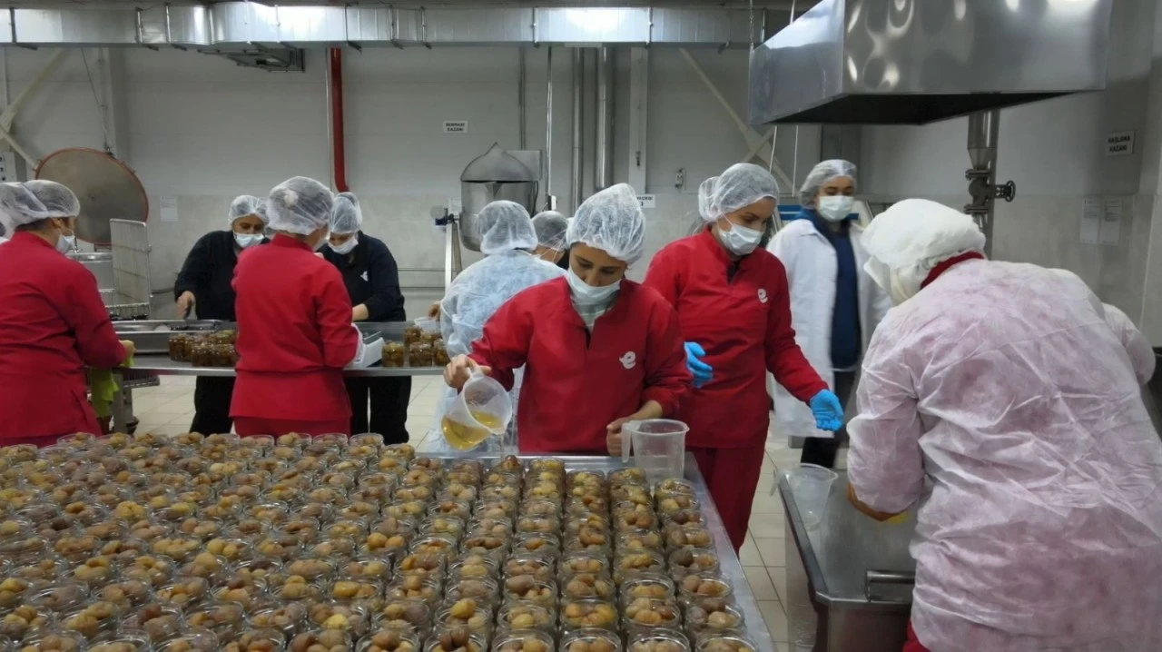 Kadın emeği tarımsal ürün fabrikası’yla yerel üretim dünyaya açılıyor