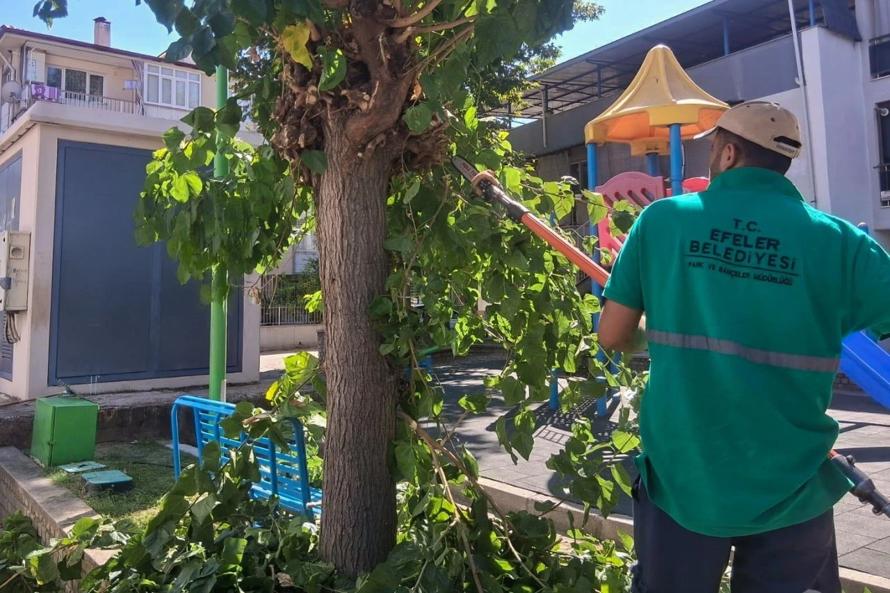 Efeler’in parklarında düzenli bakım sürüyor