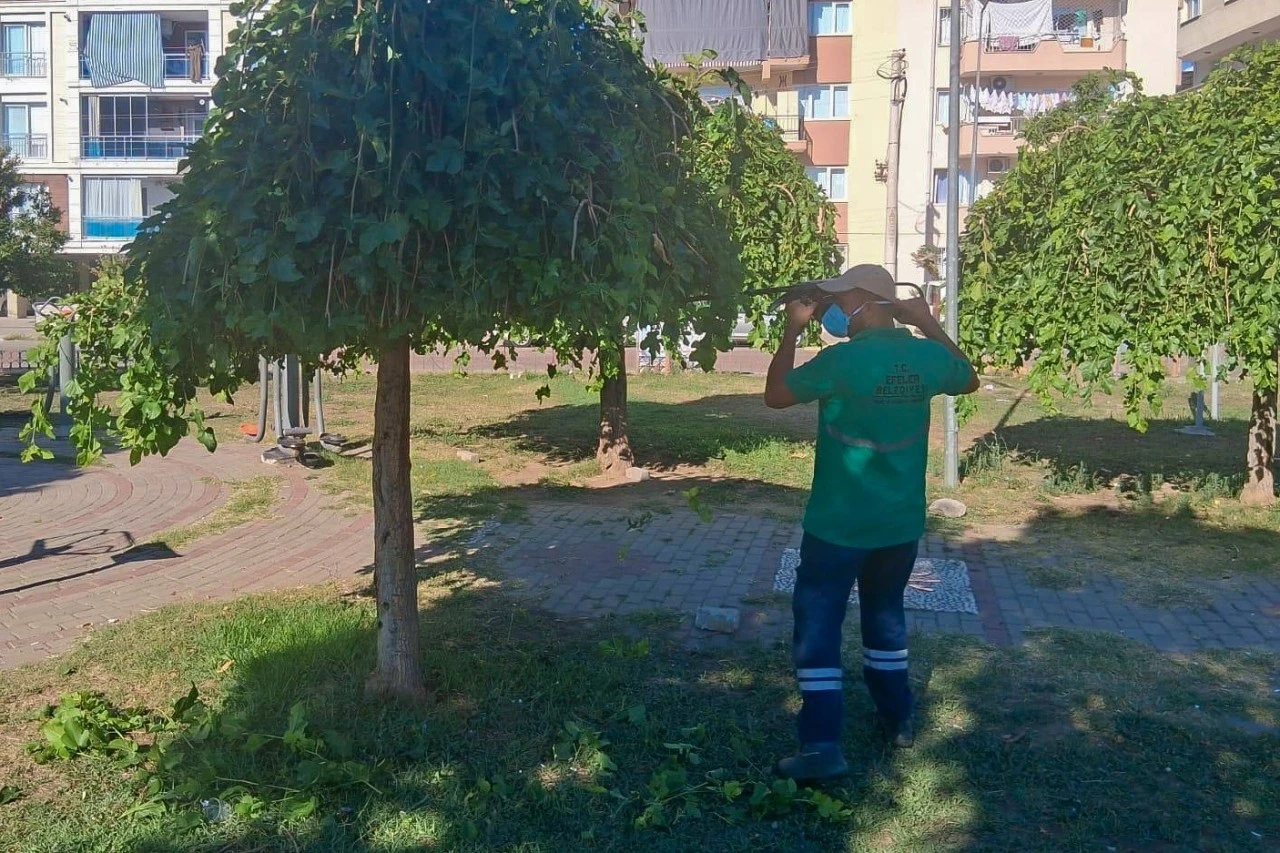 Efeler’in parklarında düzenli bakım sürüyor