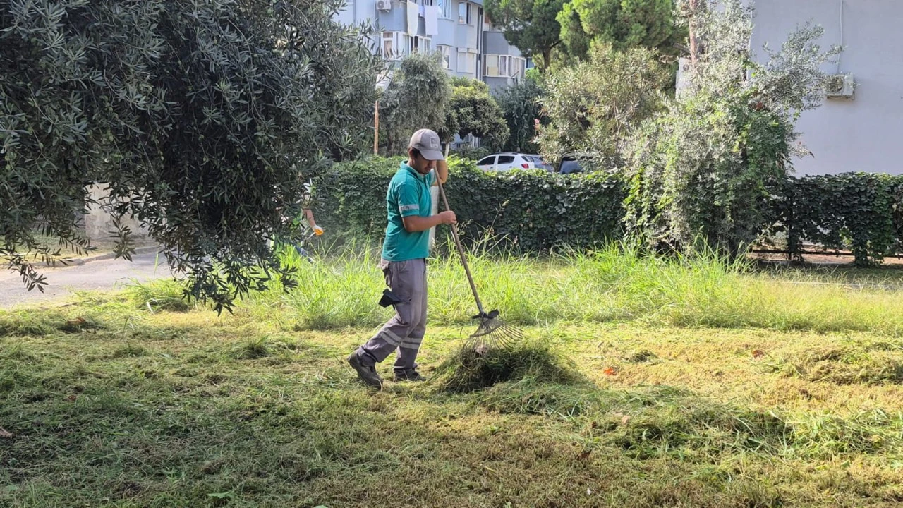 Kentin yeşil dokusuna Kuşadası Belediyesi’nden profesyonel dokunuş