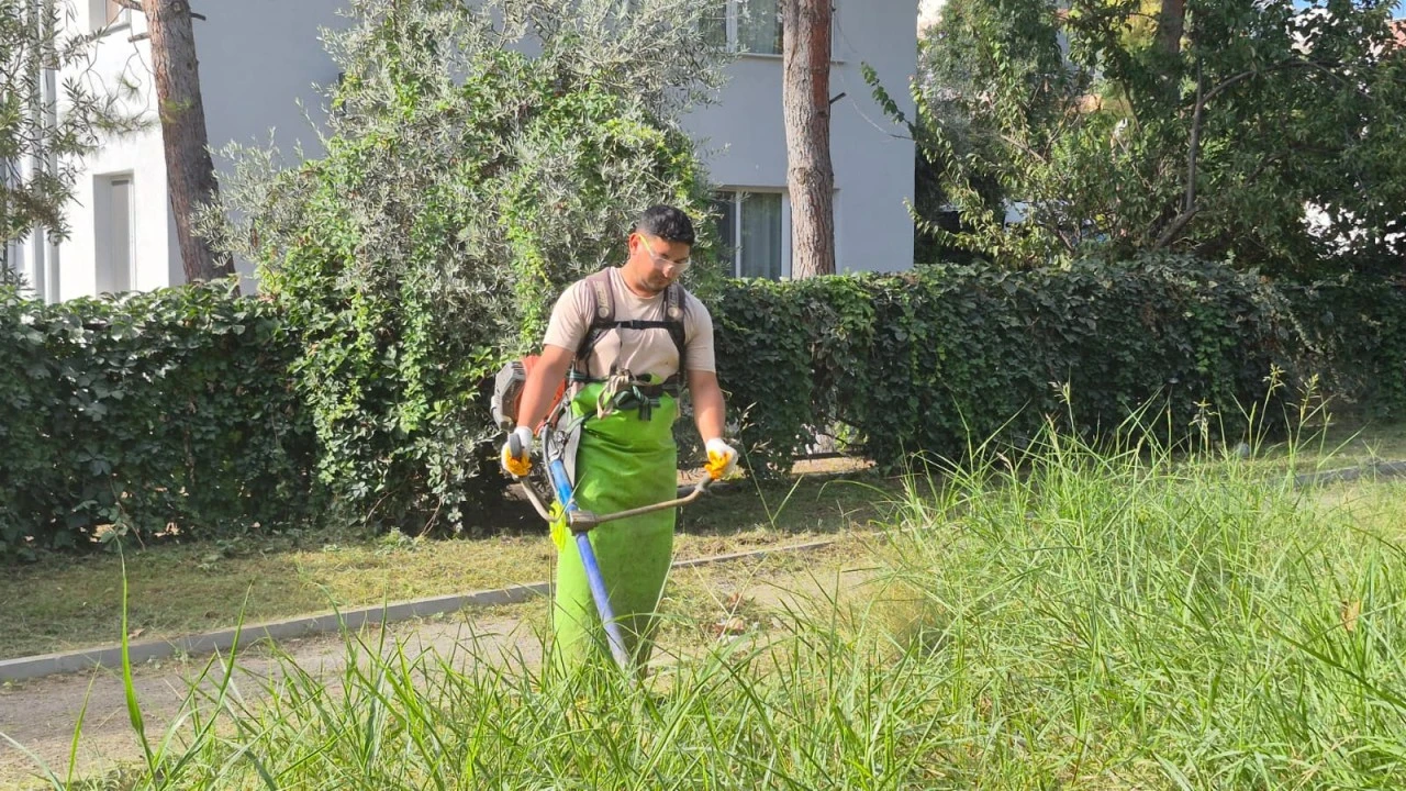 Kentin yeşil dokusuna Kuşadası Belediyesi’nden profesyonel dokunuş
