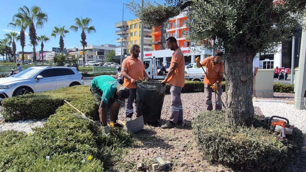 Kentin yeşil dokusuna Kuşadası Belediyesi’nden profesyonel dokunuş