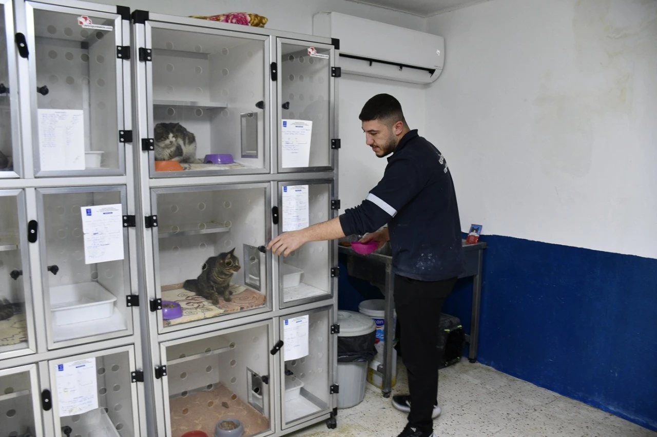 Kuşadası’nda patili can dostların sağlığı emin ellerde