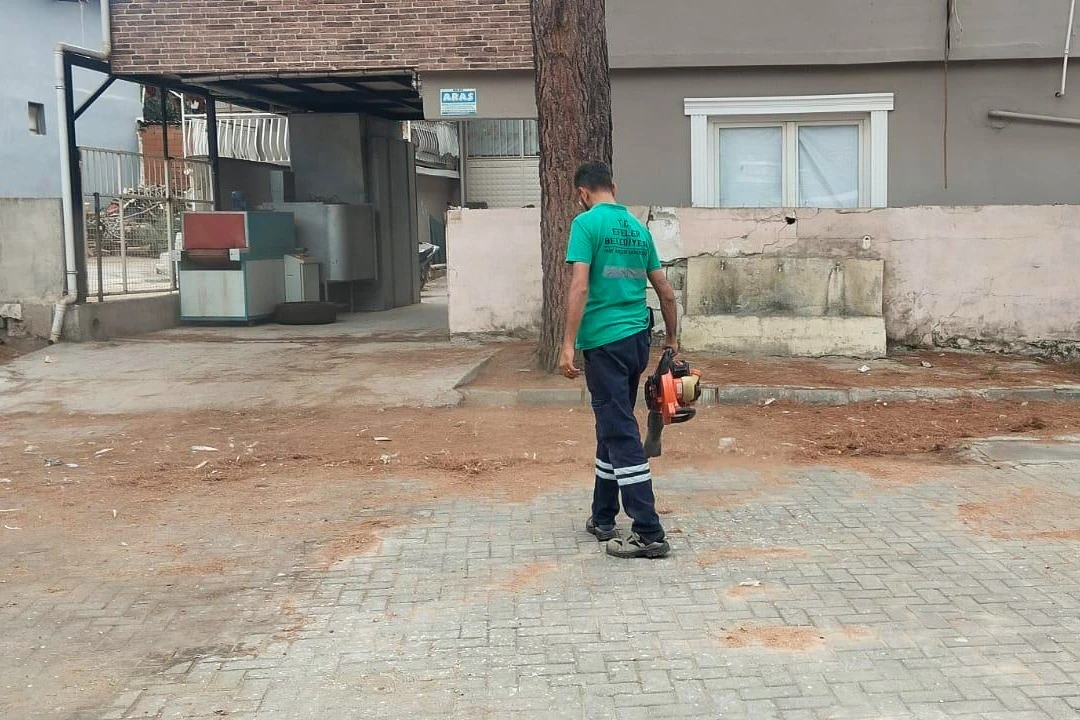 Efeler’de yeşil mesai: Eğrikavak sokaklarına bakım