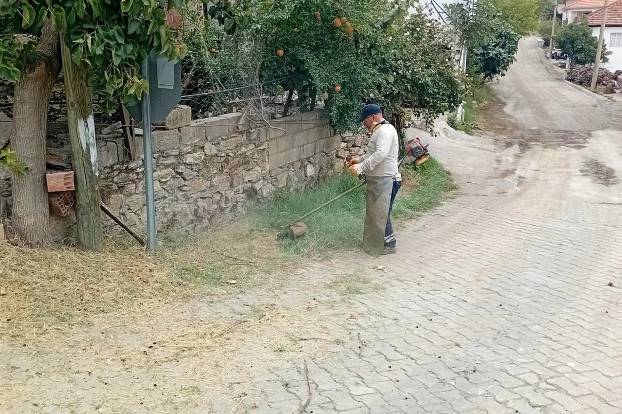 Efeler’de yeşil mesai: Eğrikavak sokaklarına bakım