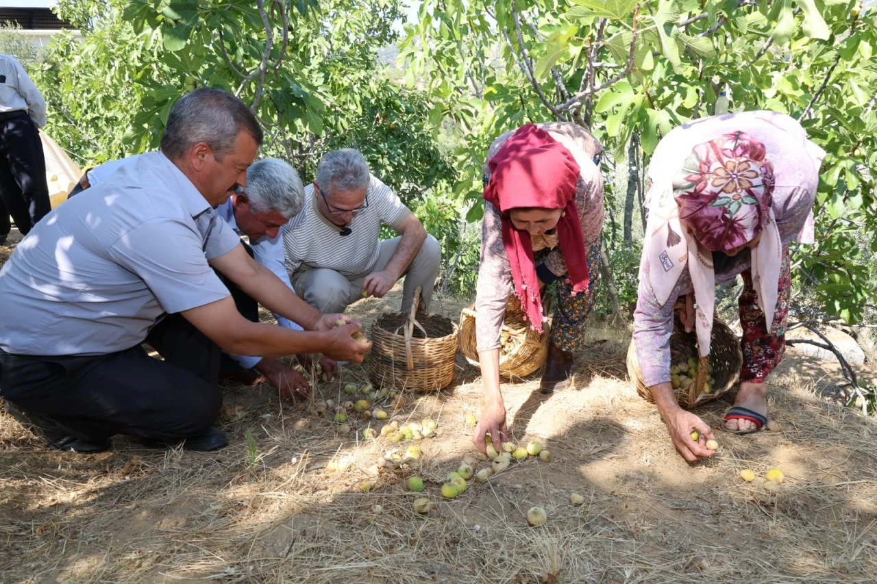 Başkan Tetik Çaylı ve Derebaşı mahallelerinde vatandaşlarla buluştu