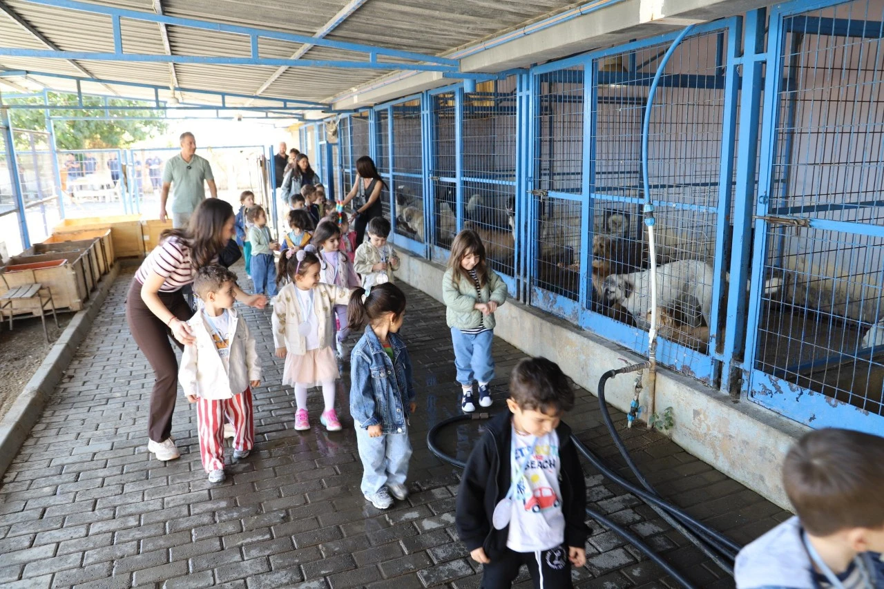 Minik öğrenciler can dostlarla sevgi dolu bir gün geçirdi