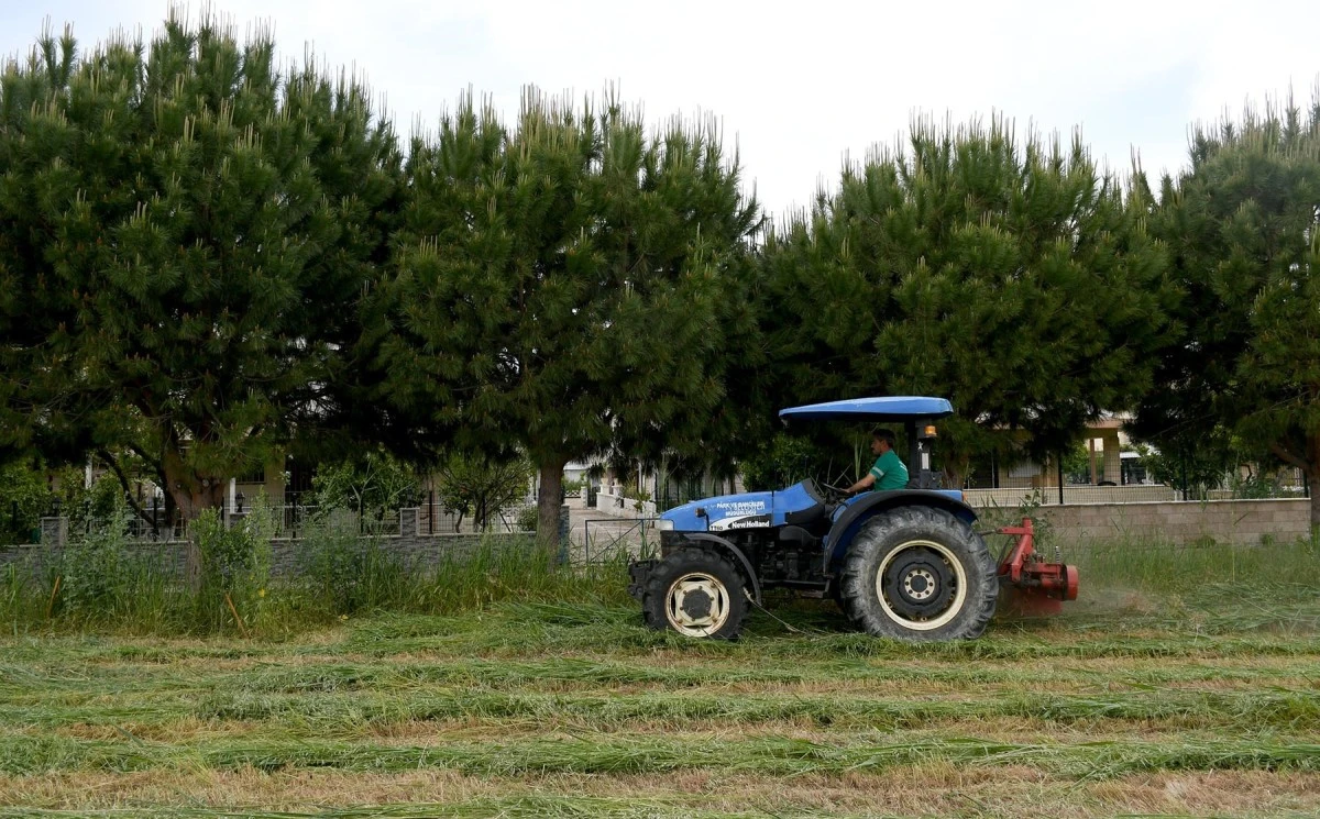 Kuşadası'nda yaz sezonu öncesi temizlik çalışmalarına hız verildi