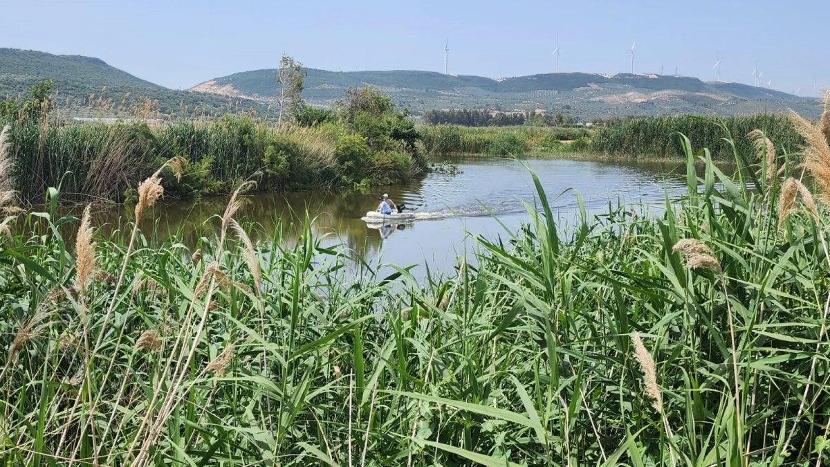 Aydın’da hayalet ağ operasyonu