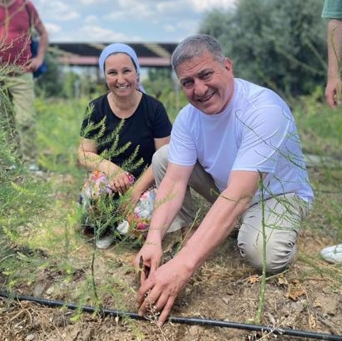 Efeler'de 4 bin 300 kuşkonmaz fidesi dağıtıldı