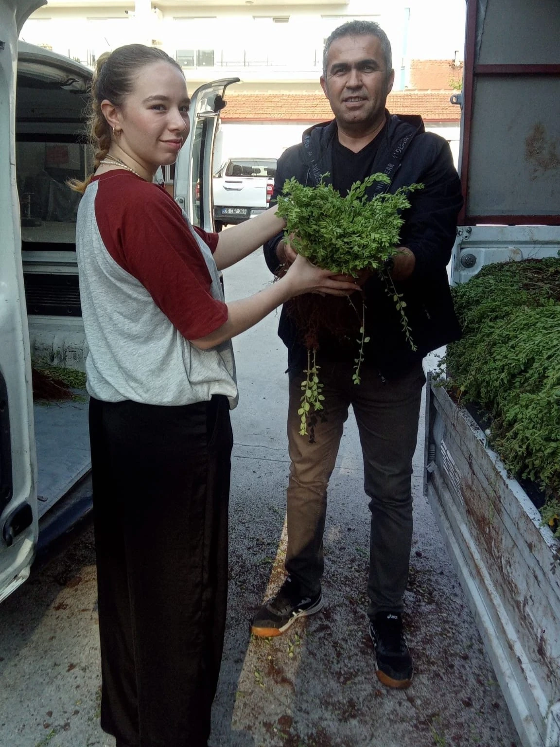Efeler, artık kekik kokacak