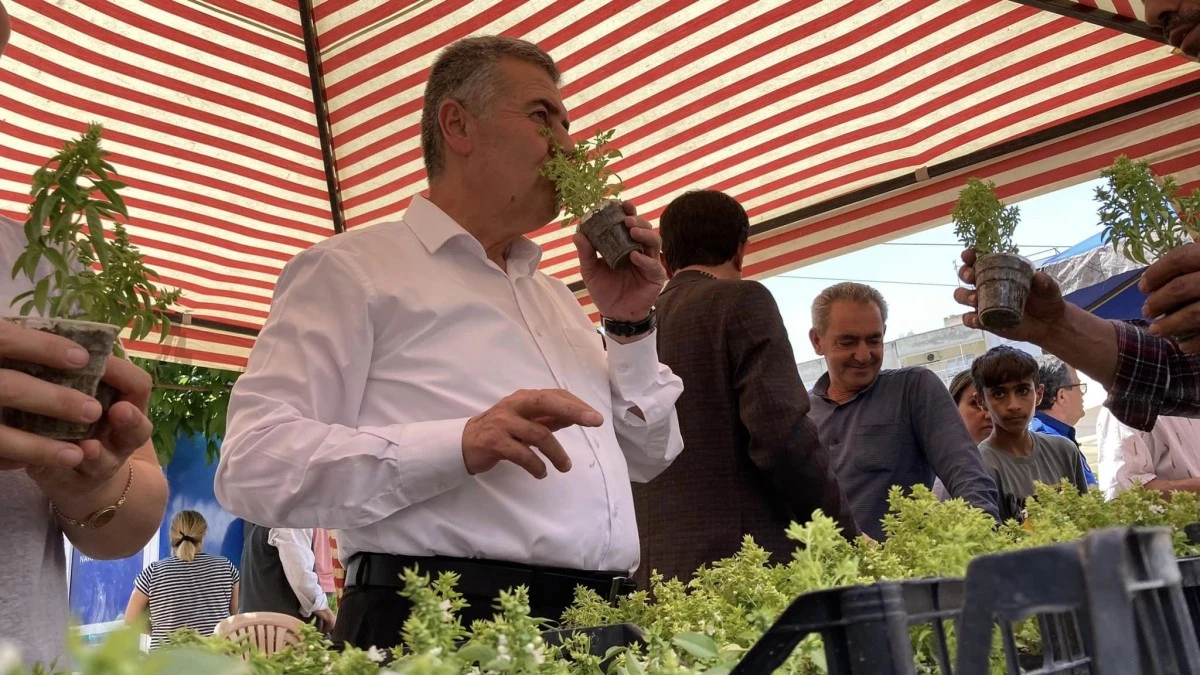 Başkan Erol, vatandaşlara fesleğen dağıttı