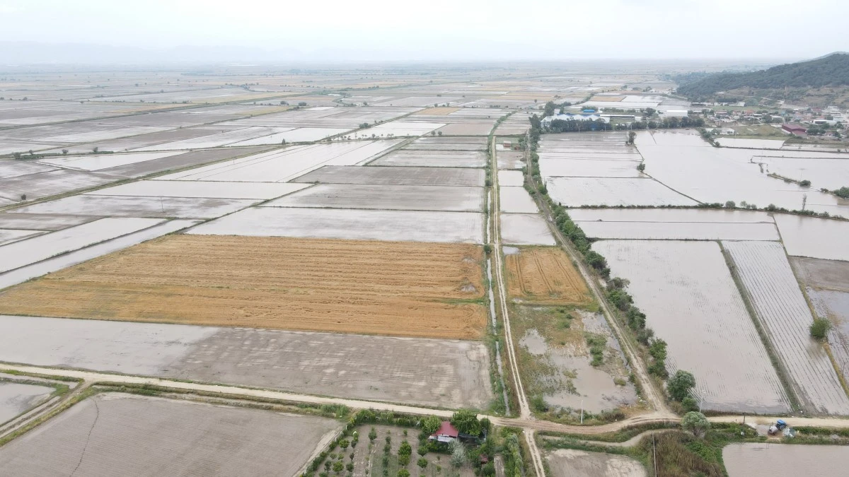 Sel, tarlaları sular altında bıraktı