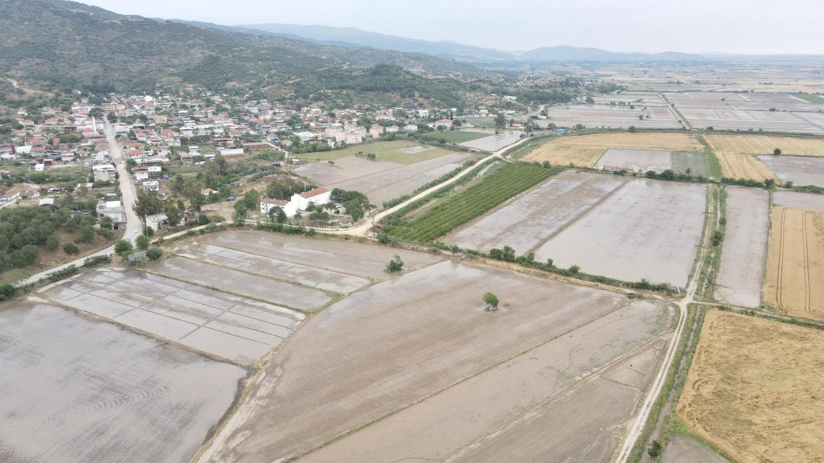 Sel, tarlaları sular altında bıraktı