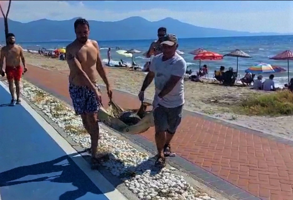 Olta iğnesi yutan deniz kaplumbağasını vatandaşların dikkati kurtardı