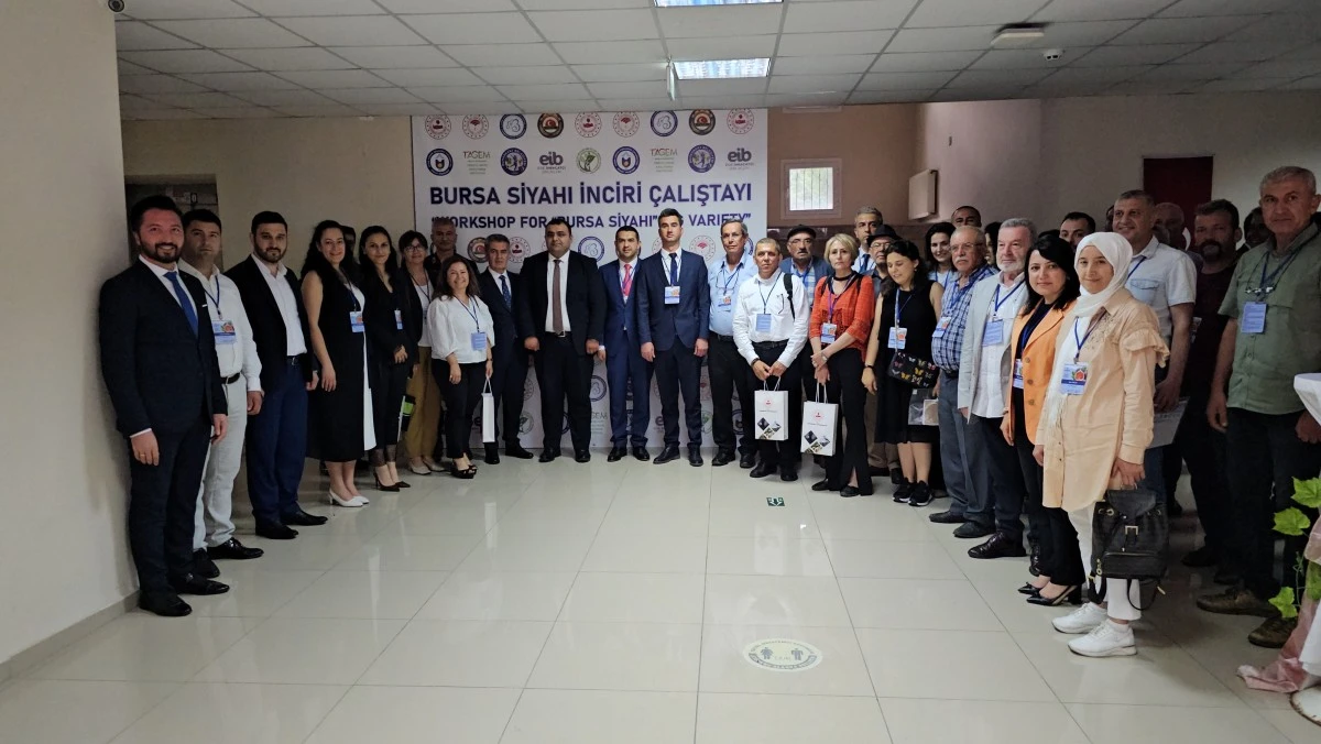 Taze incirde erkenciliği ile Buharkent rakip tanımıyor