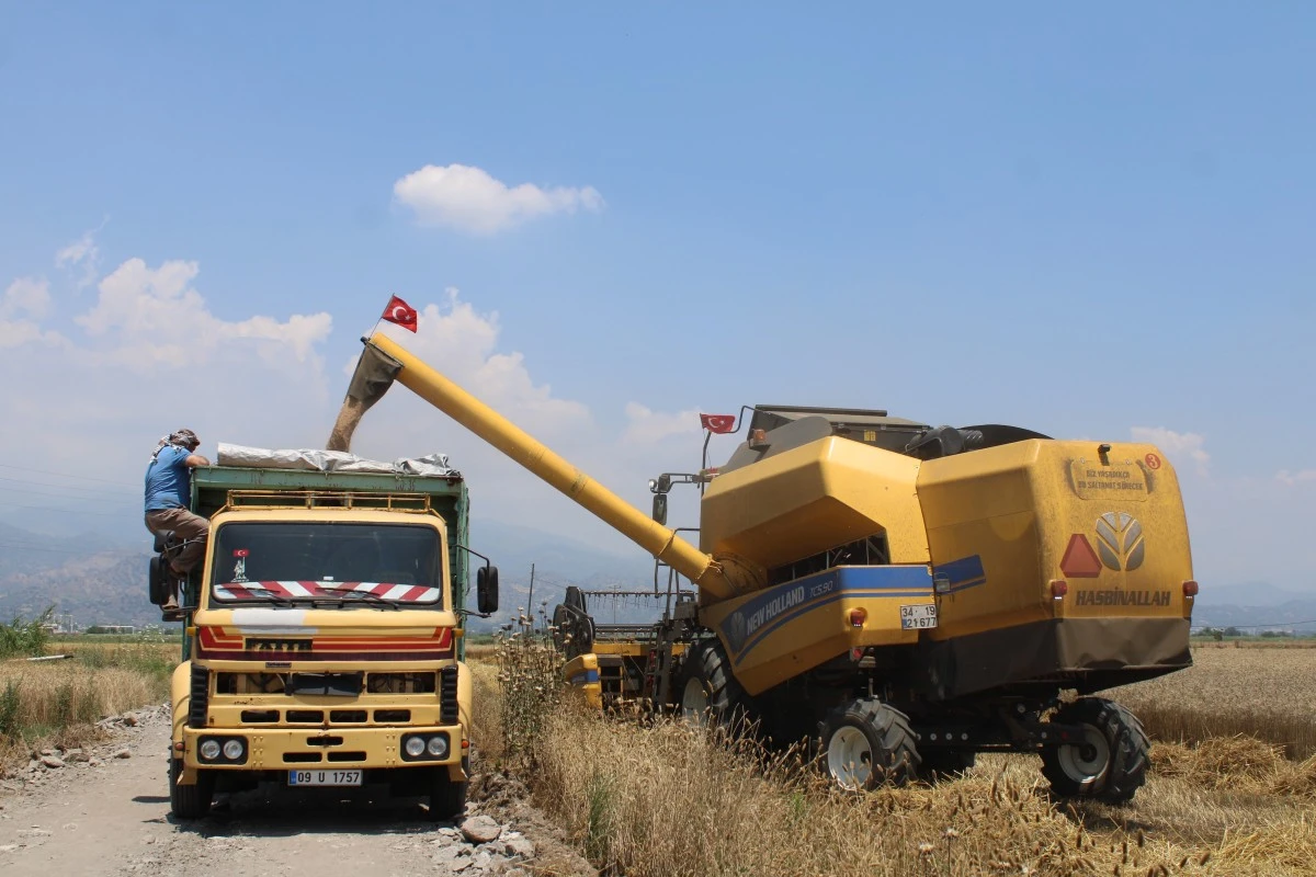 Buğday üreticileri hasat için zamanla yarışıyor