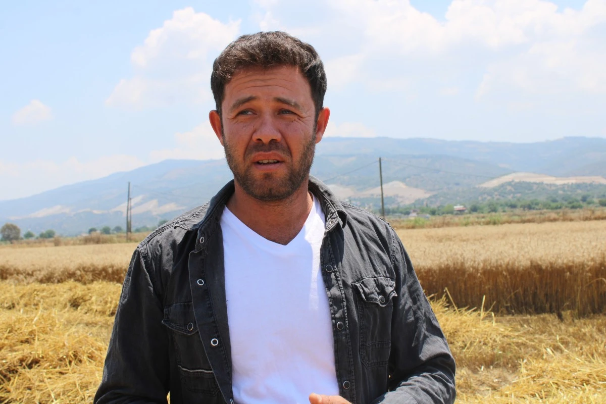 Buğday üreticileri hasat için zamanla yarışıyor