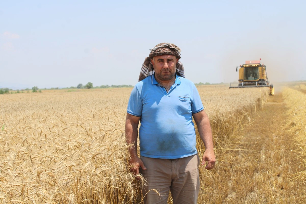 Buğday üreticileri hasat için zamanla yarışıyor