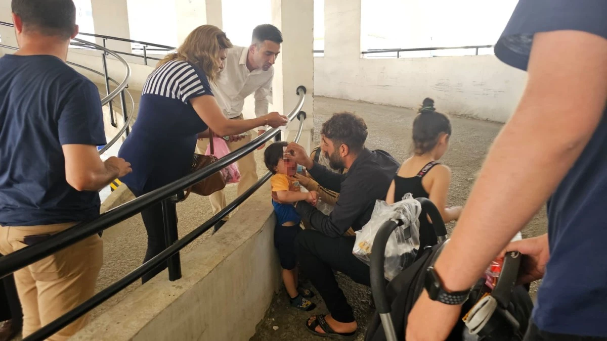 S&uuml;r&uuml;c&uuml; ve yayanın dikkatsizliği kazaya neden oldu