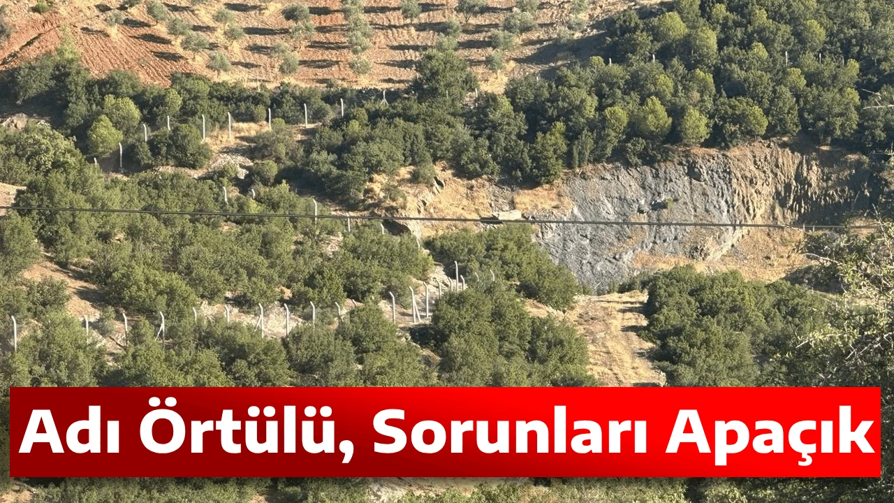 Adı &Ouml;rt&uuml;l&uuml;, Sorunları Apa&ccedil;ık