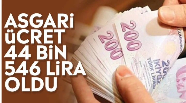Asgari ücret 44 bin 546 lira oldu