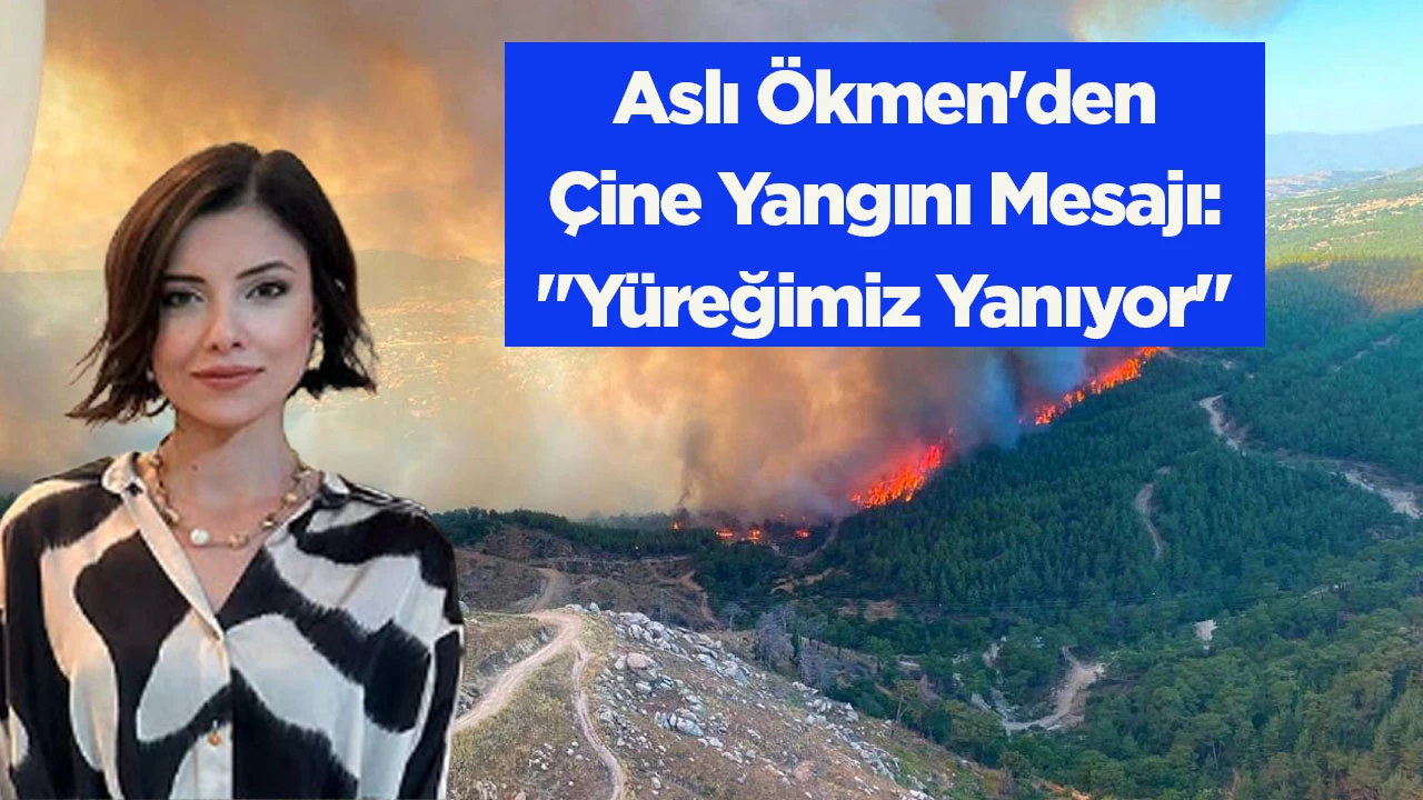 Aslı &Ouml;kmen'den &Ccedil;ine Yangını Mesajı: "Y&uuml;reğimiz Yanıyor"