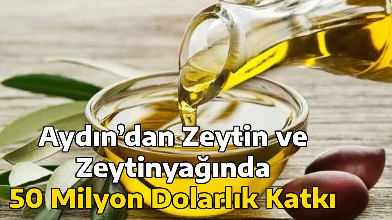 Aydın&rsquo;dan Zeytin ve Zeytinyağında 50 Milyon Dolarlık Katkı