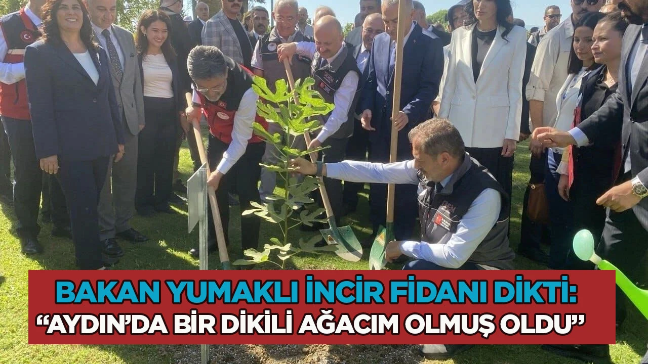 Bakan Yumaklı incir fidanı dikti: "Aydın'da bir dikili ağacım olmuş oldu"