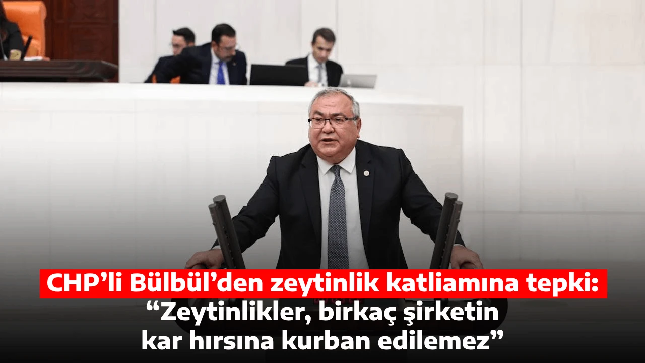 CHP’li Bülbül’den zeytinlik katliamına tepki: “Zeytinlikler, birkaç şirketin kar hırsına kurban edilemez”
