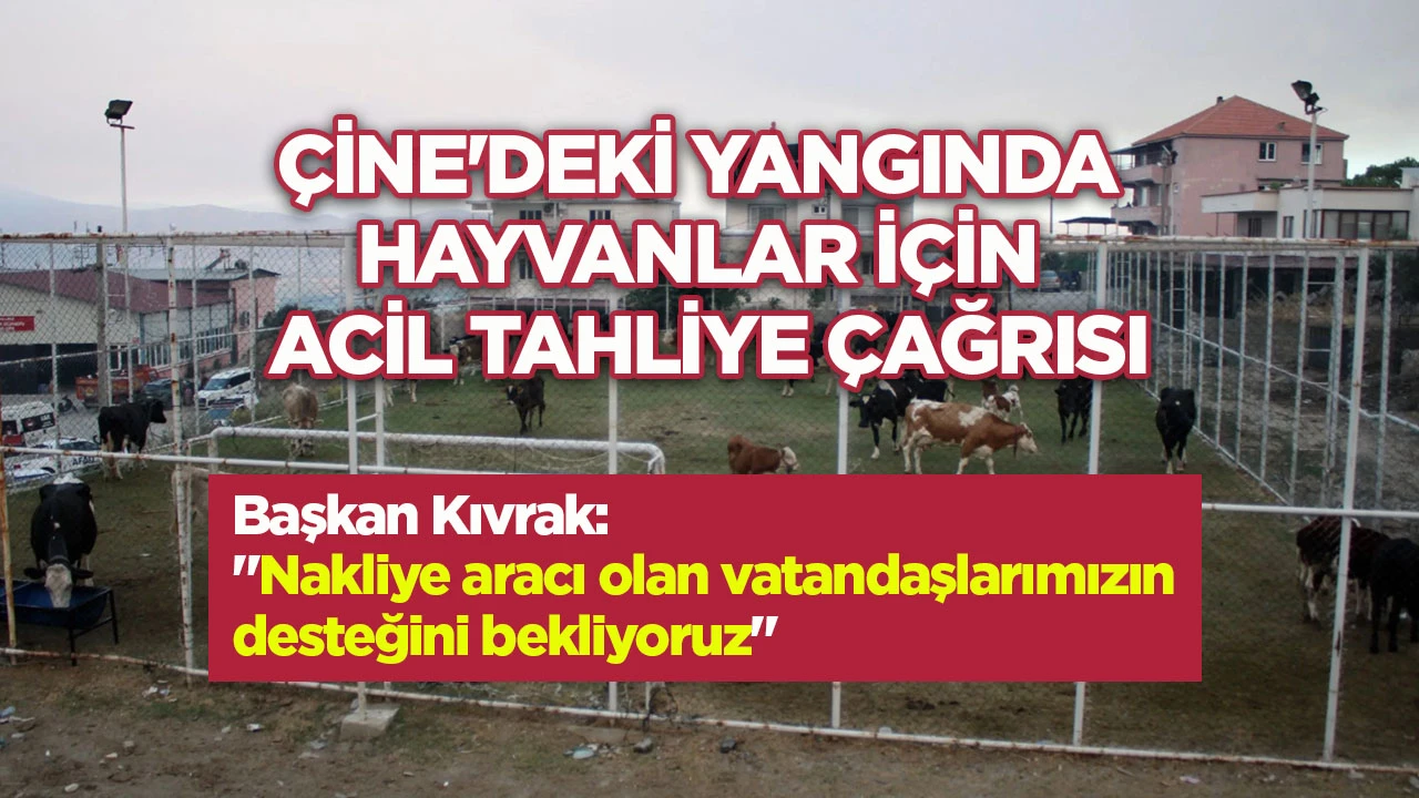&Ccedil;ine'deki yangında hayvanlar i&ccedil;in acil tahliye &ccedil;ağrısı