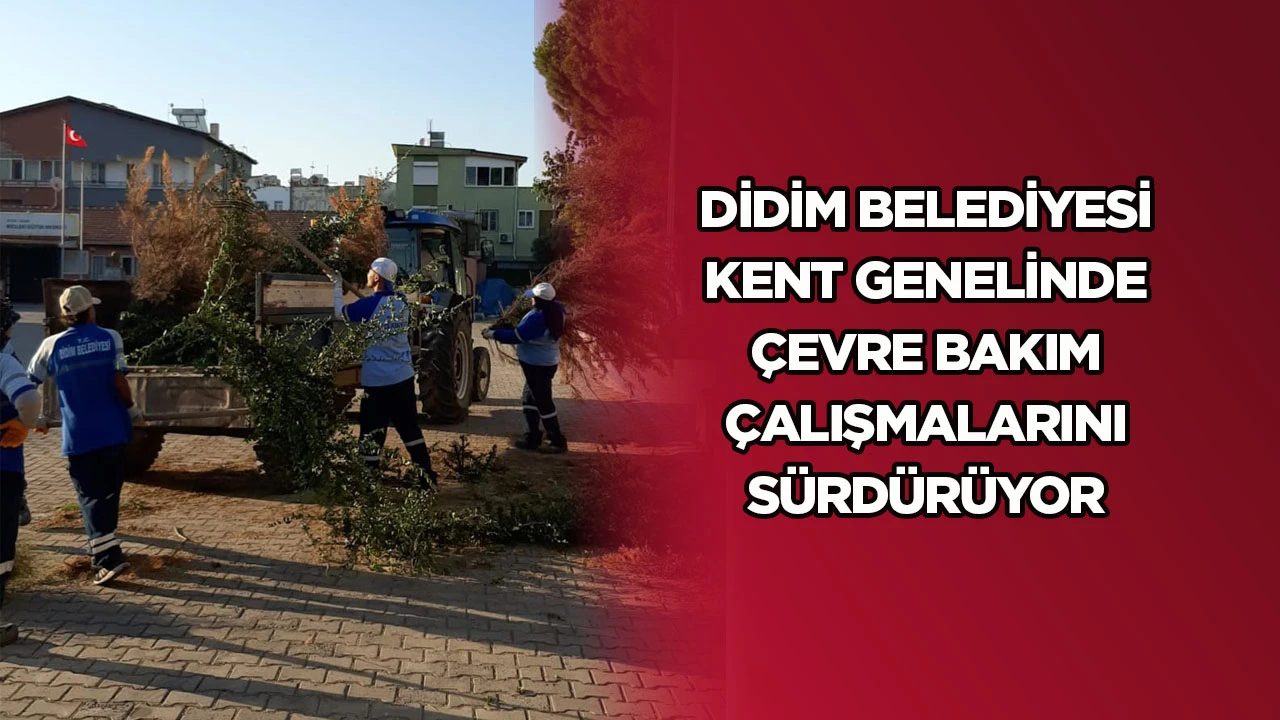 Didim Belediyesi kent genelinde &ccedil;evre bakım &ccedil;alışmalarını s&uuml;rd&uuml;r&uuml;yor